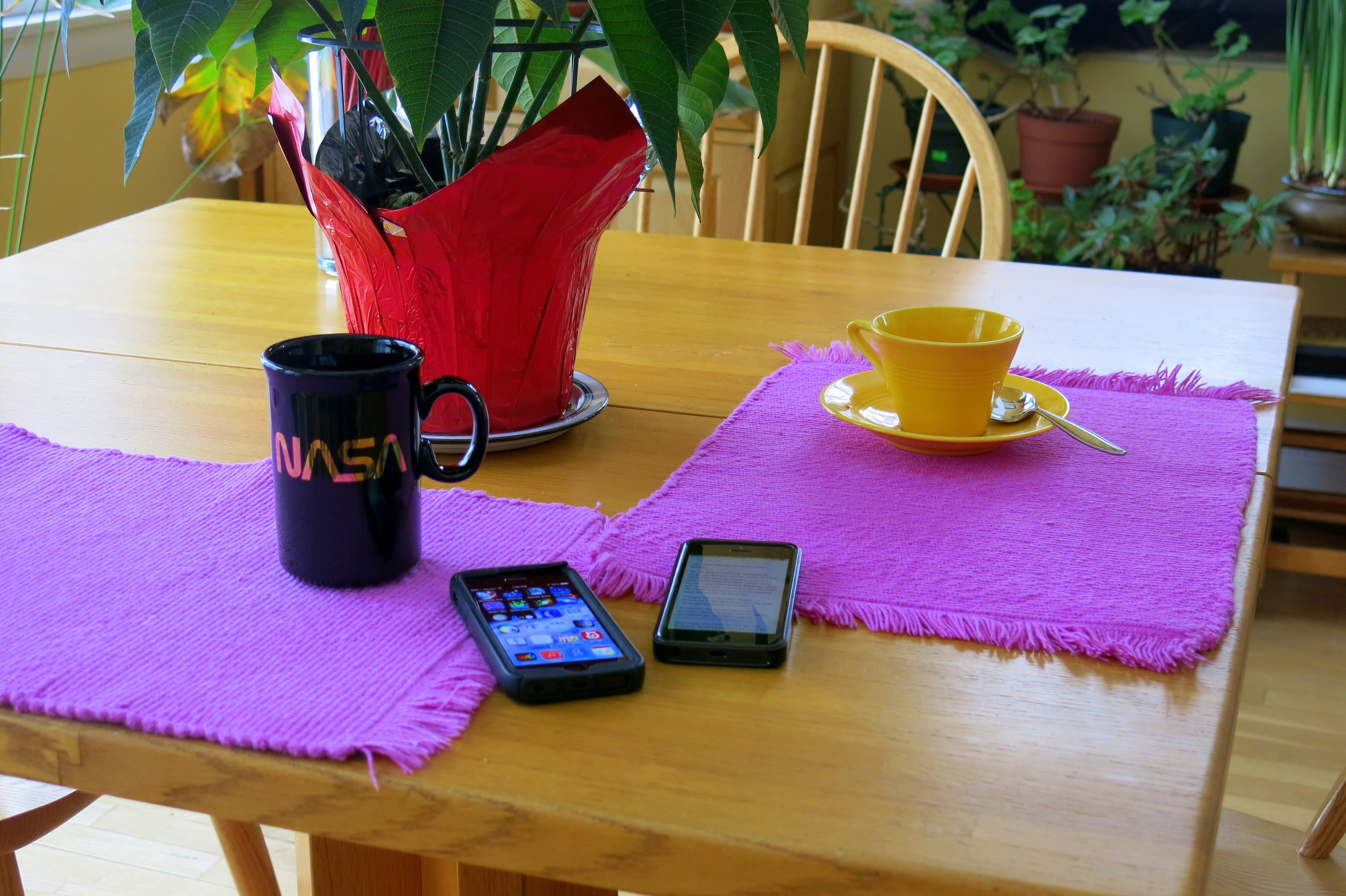 At Breakfast, Virtually