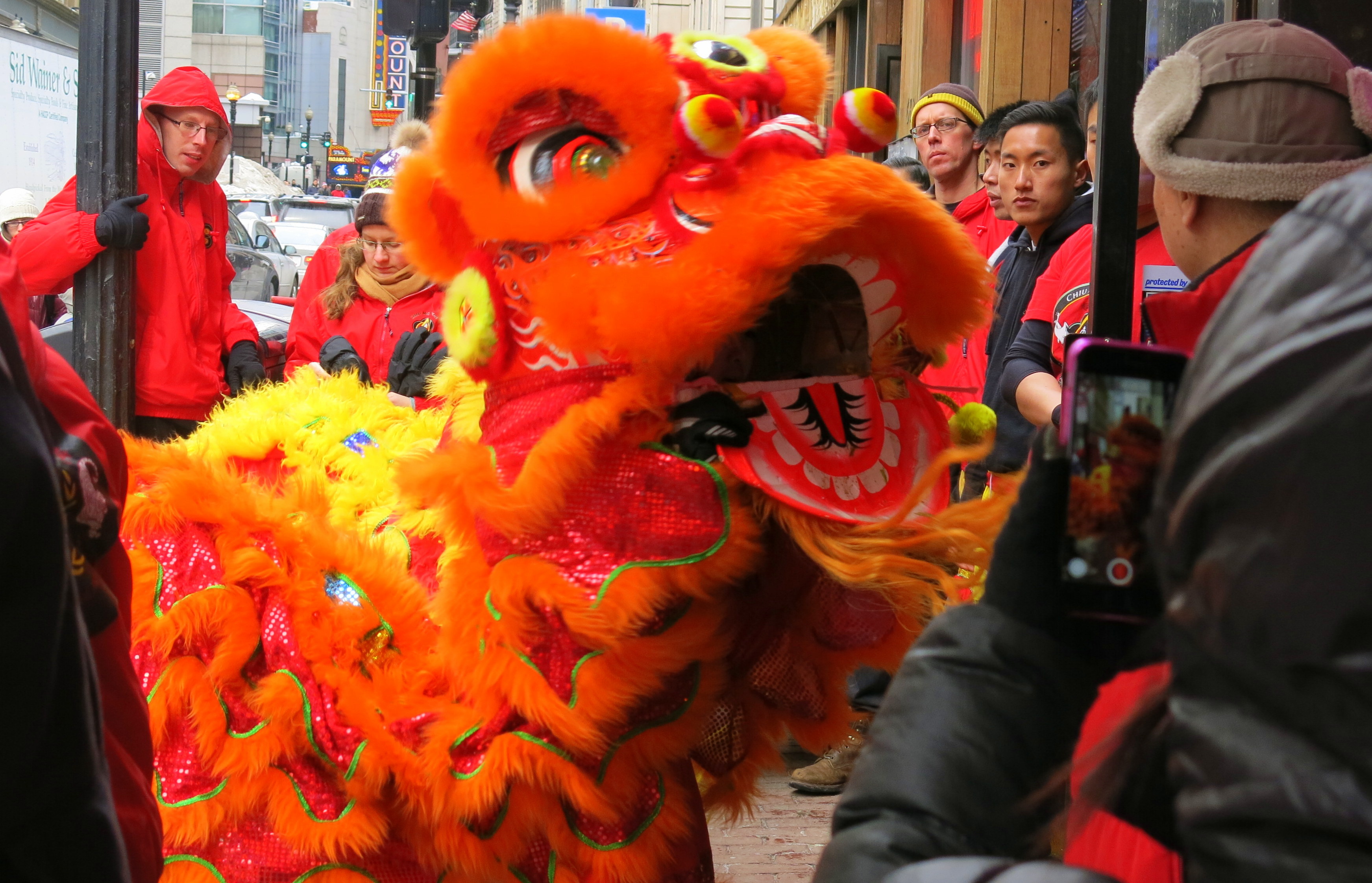 The Year of the Sheep